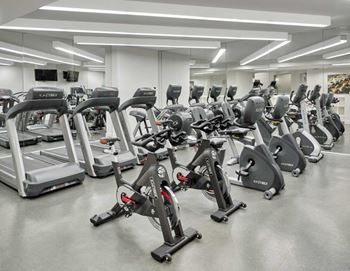 State-of-the-art cardio and weight equipment